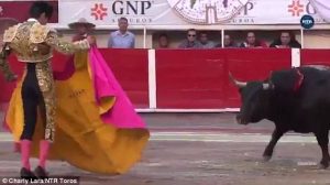 Ταύρος σκοτώνει ταυρομάχο με μία κίνηση (video)