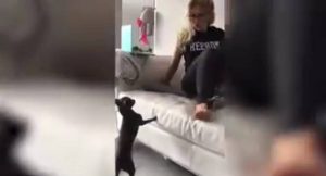 Κάνει την κοπέλα του να τρέχει με μια αράχνη… (video)