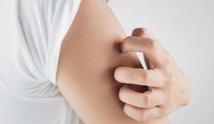 Κι’ όμως! Υπάρχει τραγούδι που διώχνει τα κουνούπια (video)