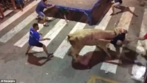 Ταύρος παραλίγο να σκοτώσει θεατή, αφού τον άφησε με πολλά τραύματα (video)