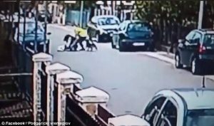 Αδέσποτος σκύλος αποτρέπει κλέφτες και σώζει μια γυναίκα (video)