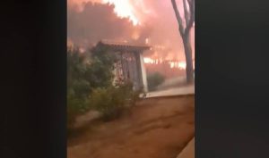 Το βίντεο της κολάσεως από τη φωτιά στο Μάτι! Σώθηκε από θαύμα μαζί με τη γάτα του!