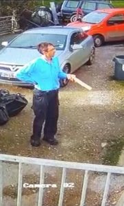 Ταχυδρόμος πετάει την αλληλογραφία στα σκυλιά τα οποία την τρώνε (video)
