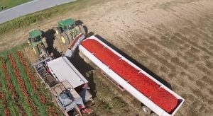 Εχετε δει ποτέ πώς φτιάχνουν κέτσαπ; Θα πάθετε πλάκα… (video)