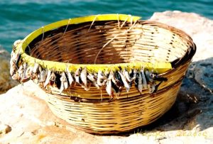 Ψαράδες από τη Σκόπελο έριξαν παραγάδι σε βάθος 300 μέτρων. Οταν το ανέβασαν… έπαθαν σοκ! (photo)