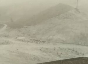 Live Cam: Πυκνό χιόνι στον Παρνασσό