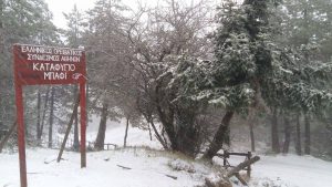 Καιρός: Με… χιόνια μπαίνει και ο Φλεβάρης. Δείτε τους χάρτες των περιοχών που θα χιονίσει… (Photos)