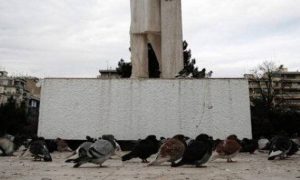 O απίστευτος λόγος που δεν βλέπουμε ποτέ μωρά περιστέρια