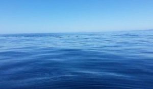 Ψαράς βιώνει το πιο… ευχάριστο σοκ της ζωής του την ώρα του ψαρέματος (video)