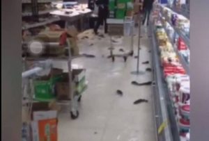 Πήγαν Σούπερ Μάρκετ για ψώνια! Τελικά, άρχισαν να… ψαρεύουν στους διαδρόμους (video)