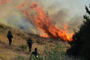Πυρκαγιά στον Άγιο Στέφανο