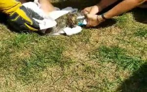 Βγήκαν στην αυλή τους για καφέ! Αυτό που είδαν, κινητοποίησε όλη τη γειτονιά (video)