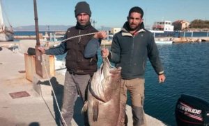 Απίστευτη ψαριά στη Σύρο! Εβγαλαν με καλάμι «θηρίο» 63 κιλών (video)