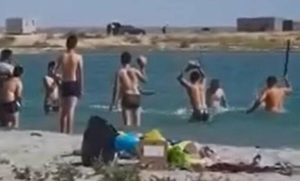 Χτυπούν φώκια με κοντάρια και πέτρες – Έβγαζαν φωτογραφίες τα παιδιά (video)