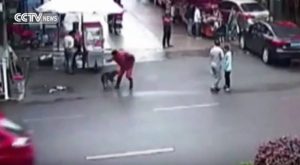 Αστυνομικοί σκότωσαν μπουλντόγκ στην Κίνα, αφού δάγκωσε 20 ανθρώπους (Video)