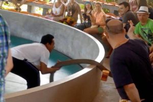 Δηλητηριώδες φίδι ορμάει και δαγκώνει άνθρωπο από το κοινό! (video)