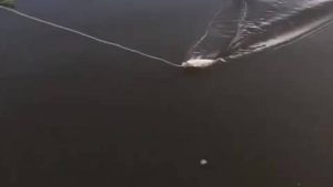 Επαθε σοκ όταν ψάρευε και είδε ξαφνικά ένα γιγάντιο ψάρι να… (video)