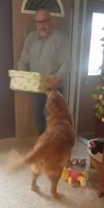 Σκύλος βλέπει το δώρο του και τρελαίνεται (video)