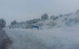 Η φωτογραφία του χιονιά Αριάδνη… Χάθηκε το STOP στο δρόμο για τη Στενή (photo)