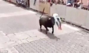 Ταύρος πήρε και σήκωσε διερχόμενο και τον άφησε αναίσθητο (vid)