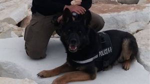 Η ελληνική αστυνομία αποχαιρέτησε τη Τζάκι (pic)