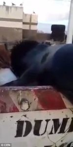 Φώκια κλέβει τα ψάρια από τη βάρκα για να τα φάει αυτό (video)