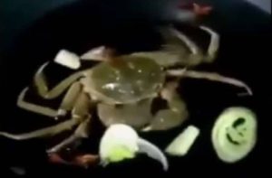Κάβουρας “ζωντανεύει” και τρώει τα λαχανικά στο πιάτο! (video)