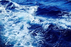 Ανατριχίλα: Ψαράς έπιασε μυστηριώδες πλάσμα με τρία πόδια (photos)