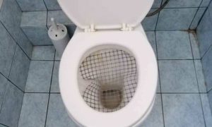 Αυτή είναι η καλύτερη ανακοίνωση σε γυναικεία τουαλέτα με… δίχτυ! (photos)