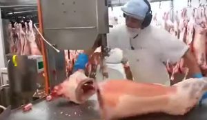 Χασάπης με κορδέλα κόβει κρέατα σε χρόνο ρεκόρ (video)