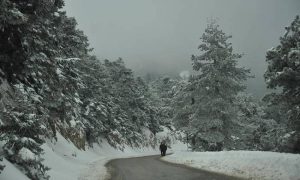 Ξεκίνησαν οι χιονοπτώσεις. Πώς θα εξελιχθεί ο καιρός μέχρι την Τρίτη…