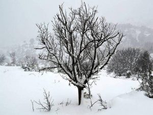 Νέα επέλαση του χιονιά – Θα χιονίσει στο κέντρο της Αθήνας