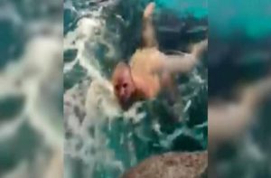 Άνδρας αποφάσισε να βουτήξει σε δεξαμενή γεμάτη καρχαρίες (βιντ)