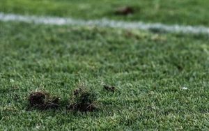 Φιλική νίκη της Βέροιας επί της Ντεν Χάαγκ