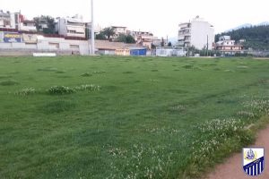 Λαμία: Το… θαύμα των γηπέδων! (photos)