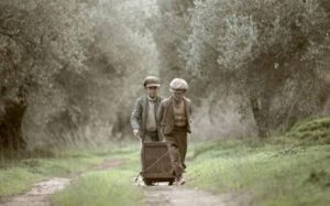 Εκπληκτικό φιλμ: Το μάζεμα της Ελιάς – Παράδοση χρόνων (video)