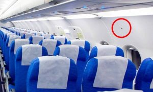 Έχεις δει μικροσκοπικά τρίγωνα πάνω από τις θέσεις στο αεροπλάνο; Δες τι είναι (video)
