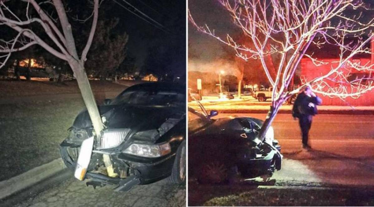 Οδηγάρα... 54χρονη κυκλοφορεί με δέντρο καρφωμένο στο αυτοκίνητο (video)