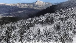Ο χιονισμένος Αίνος θα σας καθηλώσει (photos)