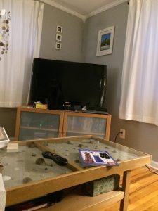 Κουίζ για γερούς λύτες: Βρείτε τη… γάτα!