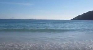 Δελφίνια βγήκαν στην αμμουδιά. Ανθρωποι τα βοήθησαν και… άλλοι έβγαζαν φωτογραφίες (video)