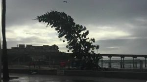 Θύελλα πήρε και… σήκωσε τεράστιο Χριστουγεννιάτικο Δέντρο (video)