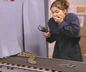 Τα πλαστικά φιδάκια… ζωντάνεψαν σε εργοστάσιο συσκευασίας (video)