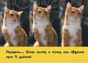 10 ξεκαρδιστικές φωτογραφίες με εκφράσεις από… γάτες. (photo)