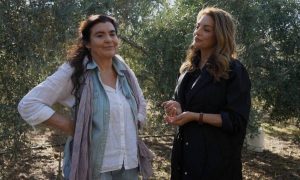 Η Γη της Ελιάς spoiler: Θυελλώδεις εξελίξεις στα επόμενα επεισόδια