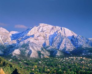 Το λουλούδι που φυτρώνει στον Όλυμπο και δεν υπάρχει αλλού στον κόσμο! (photos)