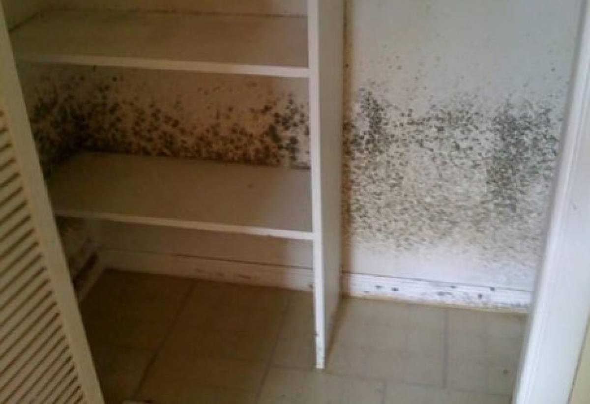 Υγρασία στην ντουλάπα; Δείτε πώς θα την καταπολεμήσετε άμεσα!
