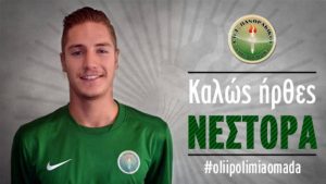 Πανθρακικός: «Πράσινος» Γκέκας