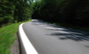 Είδε στον δρόμο κάτι τεράστιο να κινείται – Τρελάθηκε μόλις διαπίστωσε τι ήταν (photos+video)