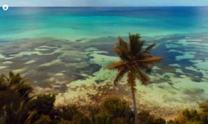 Survivor 4: Διάσημοι vs Μαχητές – Γνωρίστε τους παίκτες! (pics)